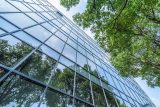 Office building windows reflecting lush green trees